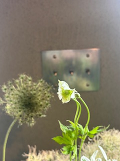 ファイル 1105-1.jpeg