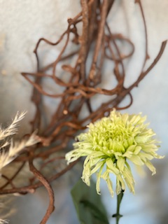 ファイル 1110-1.jpeg