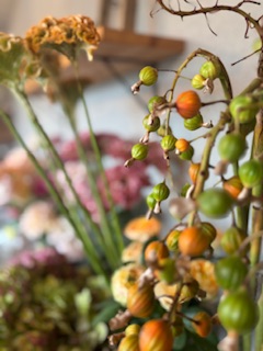 ファイル 1112-1.jpeg