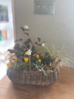 ファイル 1117-1.jpeg