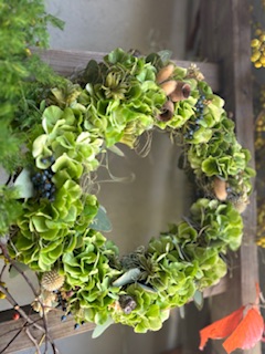 ファイル 1120-1.jpeg