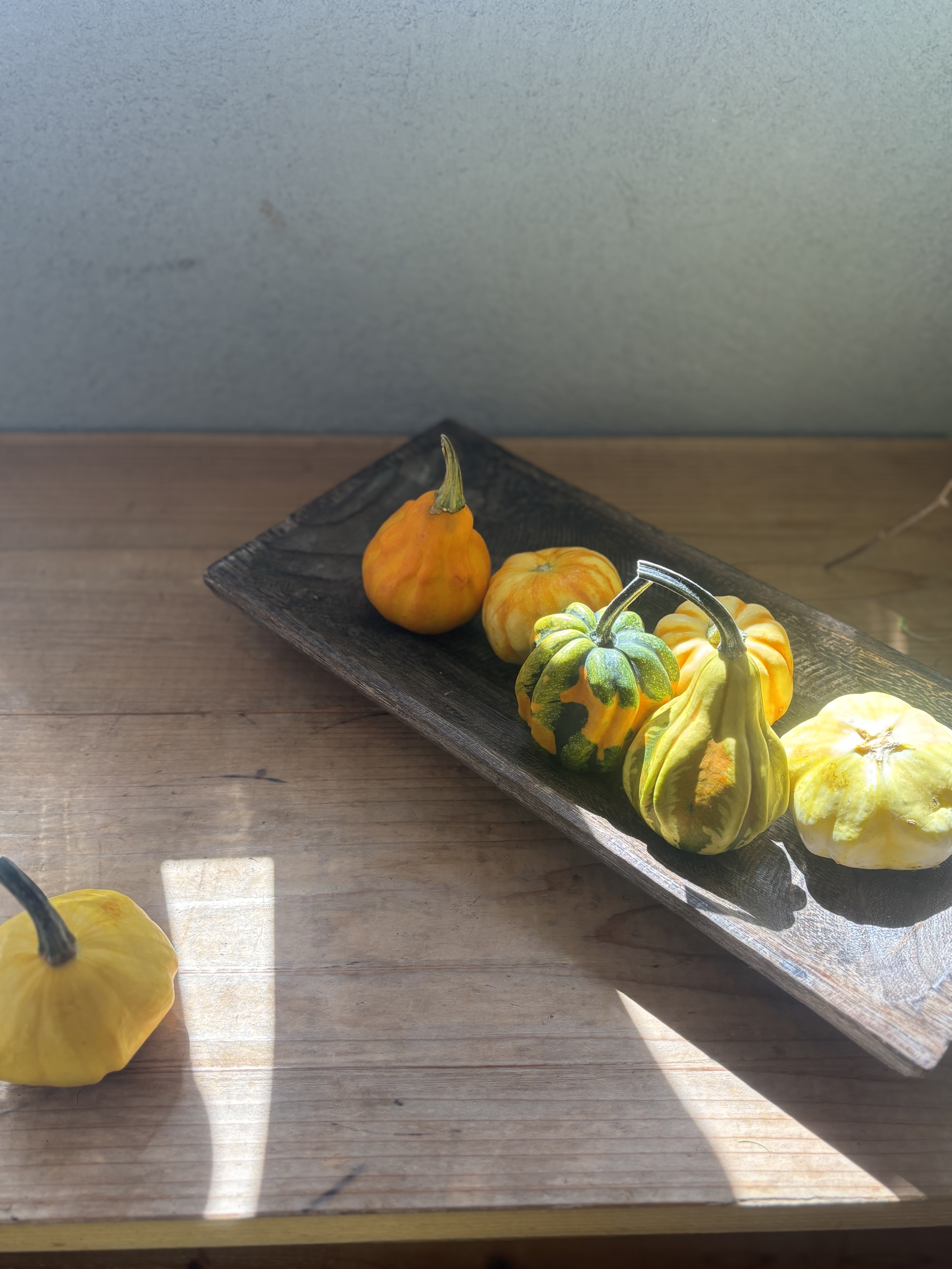 ファイル 1121-1.jpeg