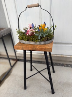 ファイル 1148-1.jpeg