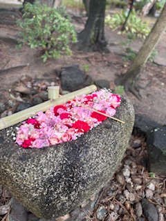 ファイル 1155-1.jpeg