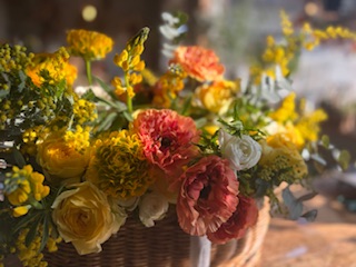 ファイル 1157-1.jpeg