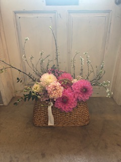 ファイル 1161-1.jpeg