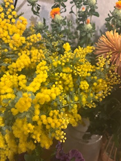 ファイル 1164-1.jpeg