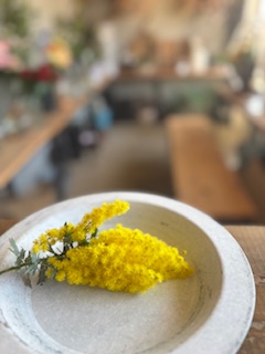 ファイル 1166-1.jpeg