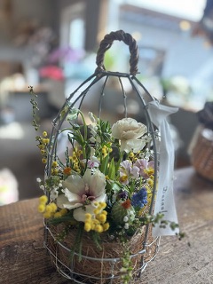 ファイル 1168-1.jpeg