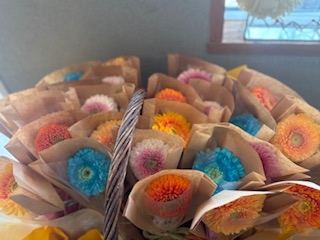 ファイル 1171-1.jpeg