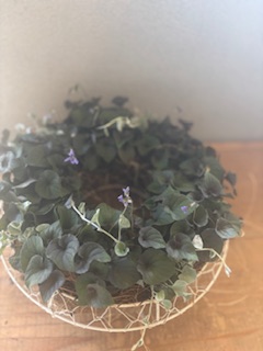 ファイル 1182-1.jpeg