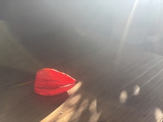 ファイル 1204-1.jpeg